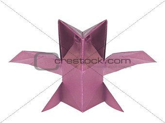 Purple owl of origami.