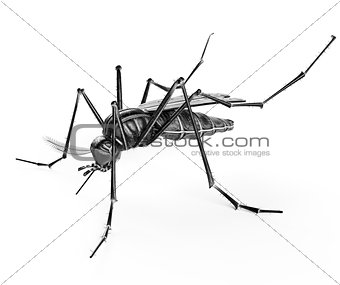 Black isolated mosquito