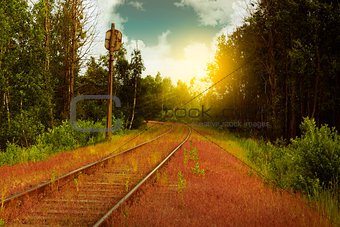 Abandoned railroad in the overgrown area