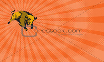Bison Ranch Business card