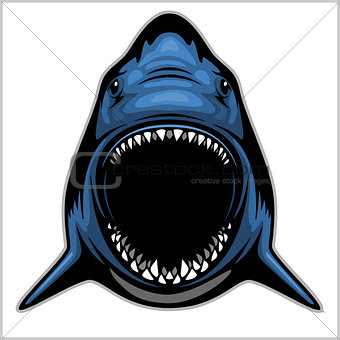 Shark head isolated on white - emblem for a sport team.