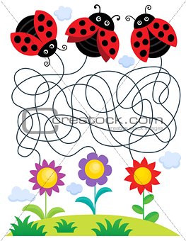 Maze 25 with ladybugs and flowers