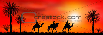 Caravan of camels at sunset 