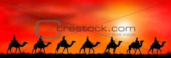 Caravan of camels at sunset 1