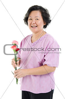 Carnation flower as gift