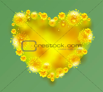 Yellow mimosa flowers heart shape on green background