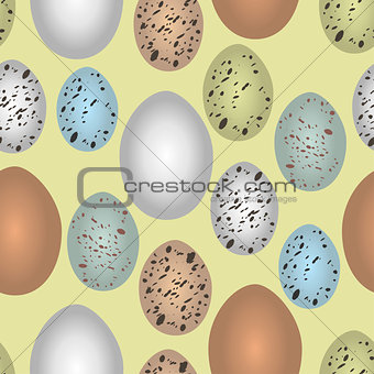 Seamless pattern bird eggs