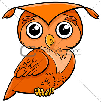 owl bird cartoon animal