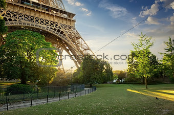 Lawn near Eiffel Tower