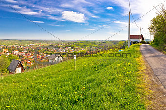Town of Ivanec panorama from green hills