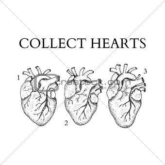 Dotwork Collect Human Hearts