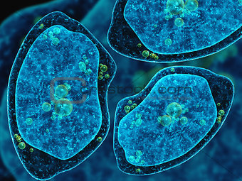 Three amoebas on abstract dark blue background