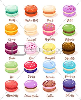 Macaroon set with isolated images of sweet fresh baked almond cookies of different taste and colour vector illustration