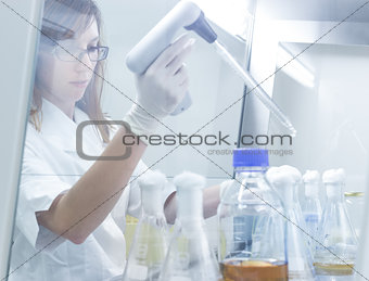 Life scientist researching in the laboratory.