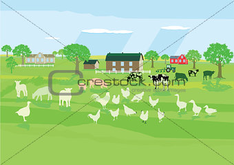 Farm animals on the meadow