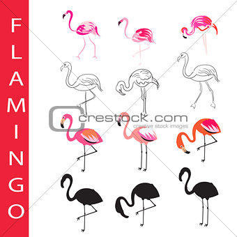 Flamingo birds vector set. Cartoon, outline and silhouette.