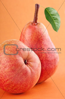 Red pear fruits with green pear leaf on red background