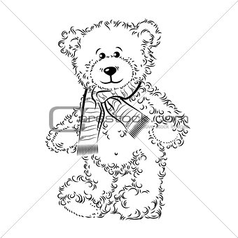 Drawing Teddy Bear with scarf. Vector illustration