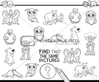 find identical items coloring page