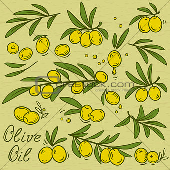 isolated olive branches set