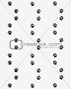 Prints of dog paws