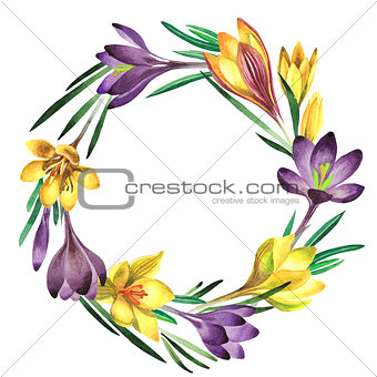 Wildflower crocuses flower wreath in a watercolor style isolated.