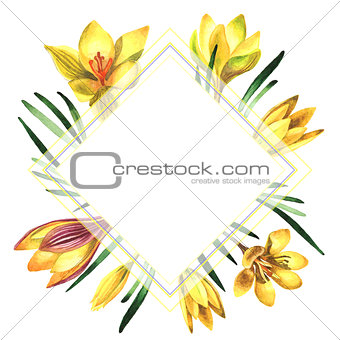 Wildflower crocuses flower frame in a watercolor style isolated.