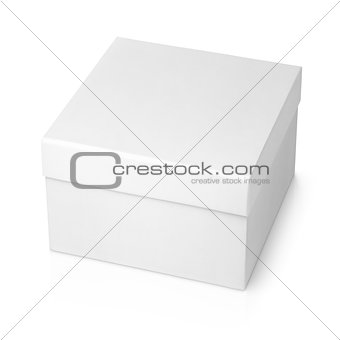 white shoe box isolated on white