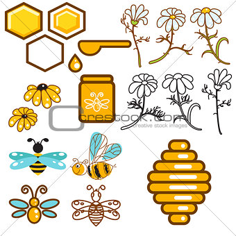 Honeybee and flowers apiary vector icon set.
