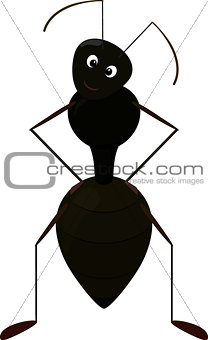 Cute Ant cartoon Character