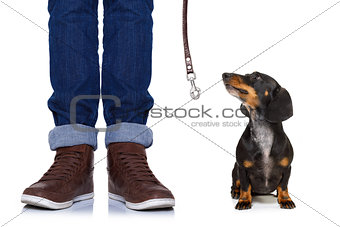 dog and owner  with leash