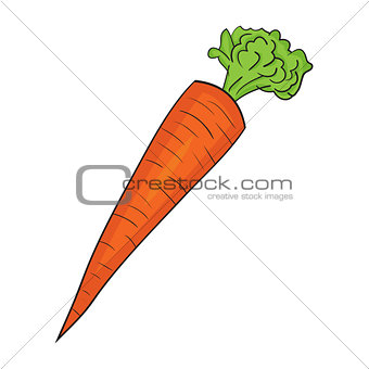 Illustration of Isolated Cartoon Carrot