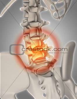 3D skeleton with spine highlighted