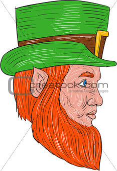 Leprechaun Head Side Drawing