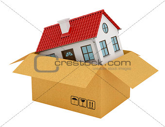 House with red roof in open cardboard box