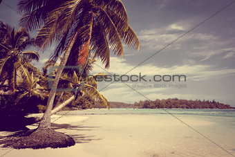 Paradise tropical beach and lagoon in Moorea Island