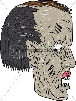 Zombie Head Side Drawing