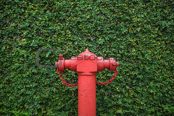 Closeup photo of fire hydrant