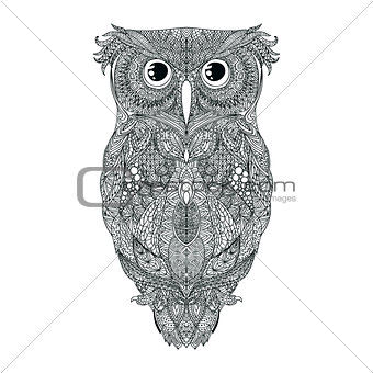 Vector black hand drawn Owl tattoo Illustration
