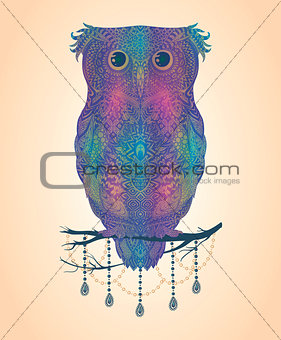 Vector colorful hand drawn Owl sitting on branch