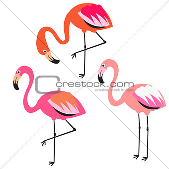 Flamingo flat style vector illustration.
