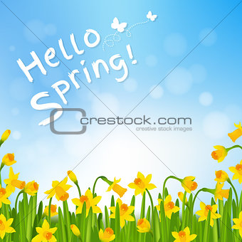 Hello Spring Poster With Narcissus