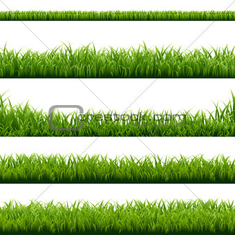 Big Set Green Grass Borders