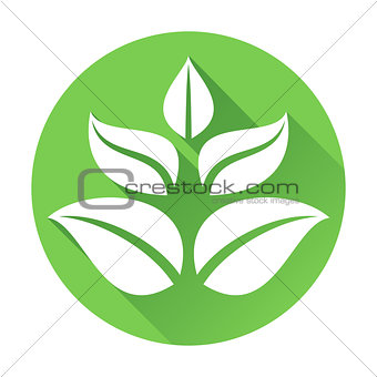 Green Leaves Icon