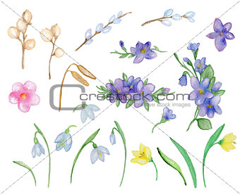 Spring watercolor flowers