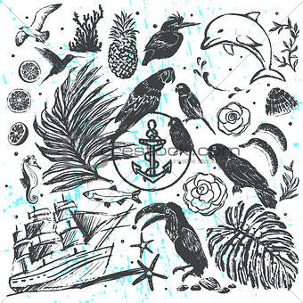 Ink hand drawn vector elements All about Tropical Sea Vacations