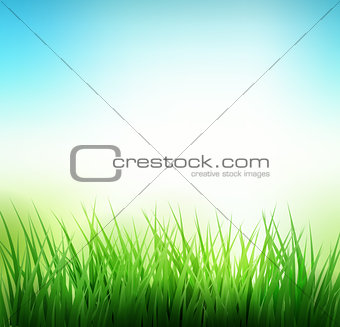 Natural green grass background