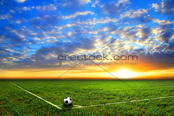 black and white soccer ball on the field