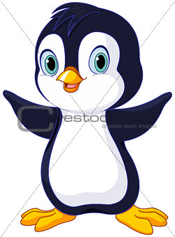 Cute Baby Penguin
