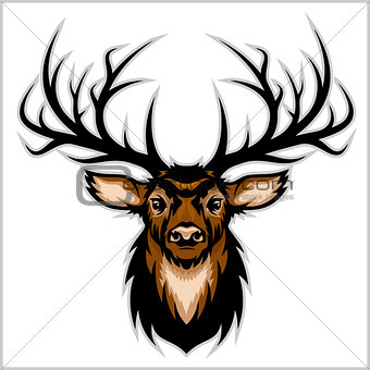 Deer Head. Vector Illustration.